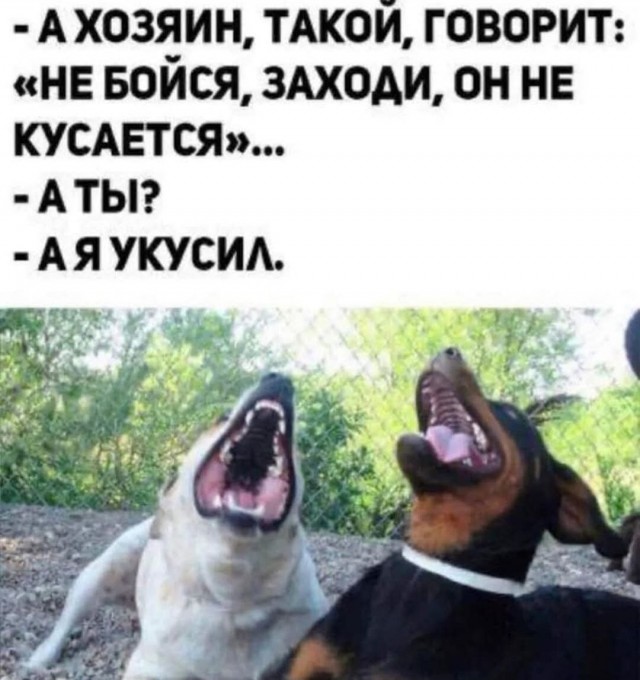 Для пятничного настроения