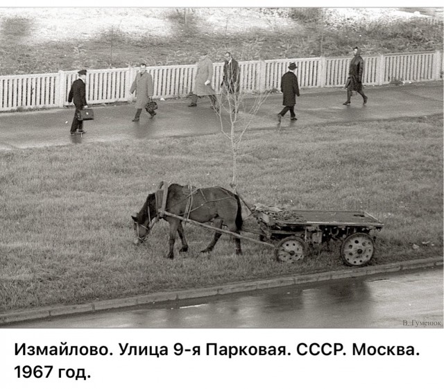 Редкие кадры и архивные снимки 10.09.25