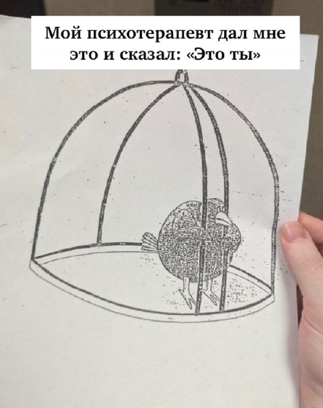 Так себе картинки 17.09.25