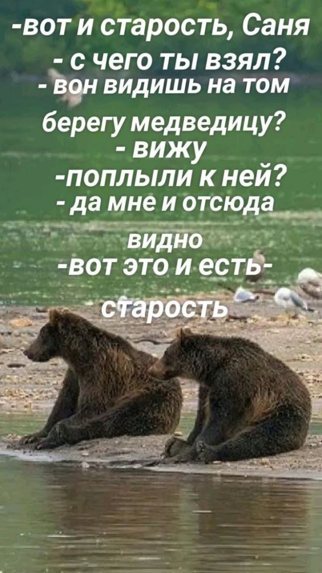 Забавные и не очень скромные картинки - 13