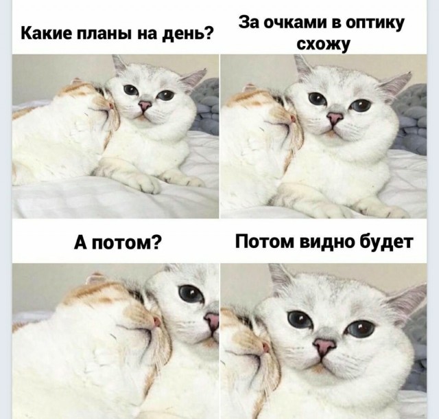 Вторник. Немного картинок