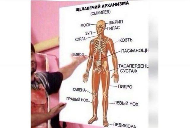 Объявления «Сдам квартиру только славянам» можно же, да?