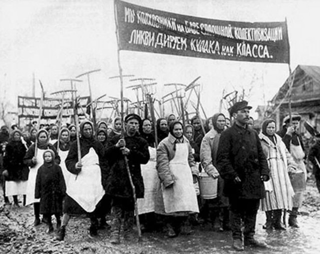 О коллективизации глазами американской разведки