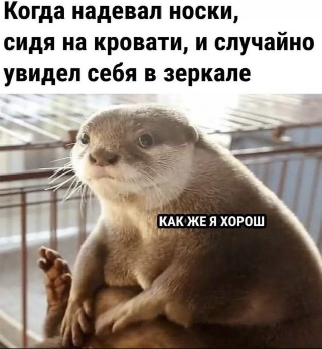 Забавные картинки, шутки из этих ваших интернетов