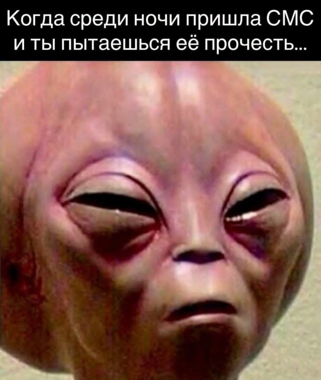 Веселые картинки в пятницу (03.07)