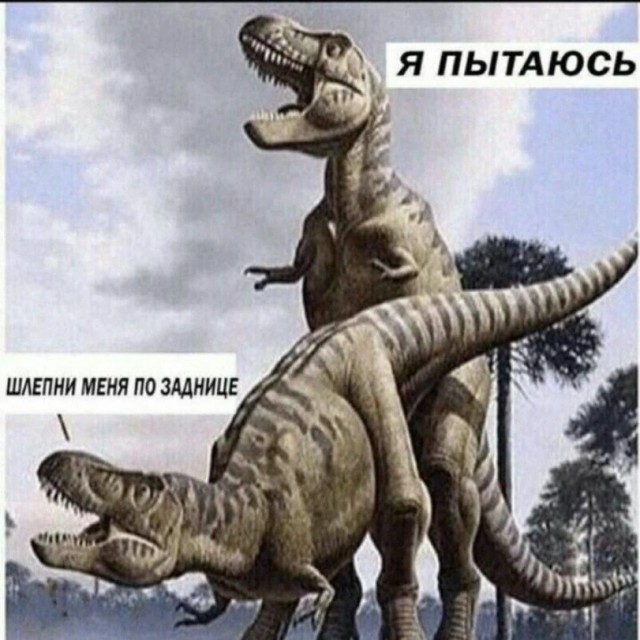 Контент для невзыскательной аудитории