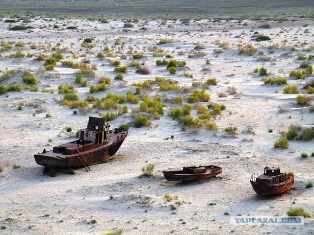 Трагедия Арала. Как из-за носков испарилось целое море