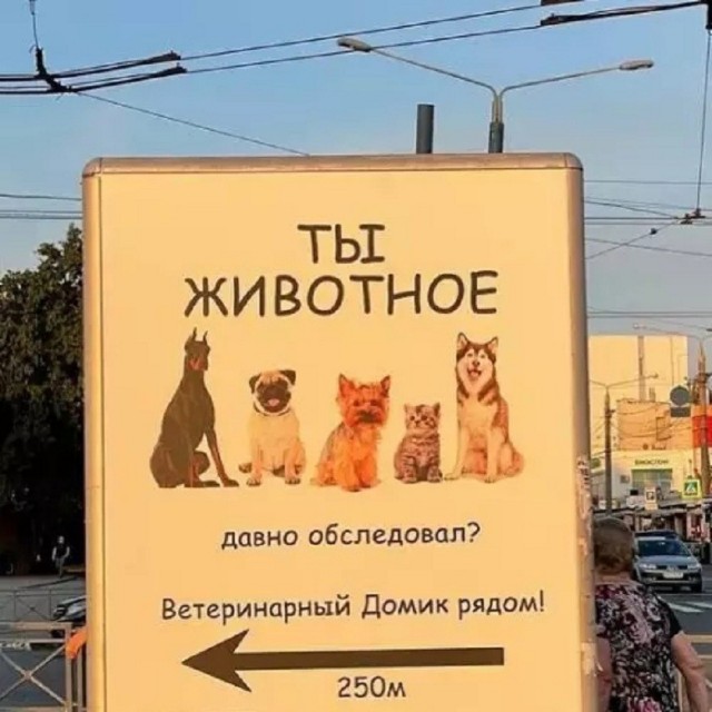 Так себе картинки 28.08.26