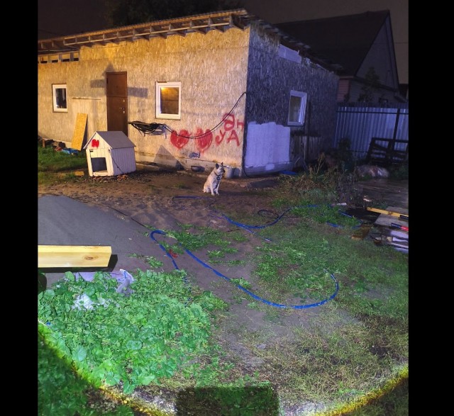 Что нам стоит, дом построить. Часть 2