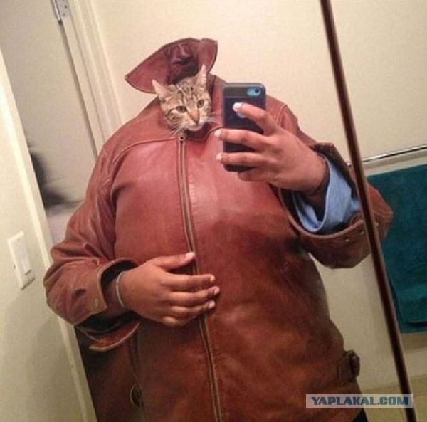 Из серии "мой хозяин идиот.."