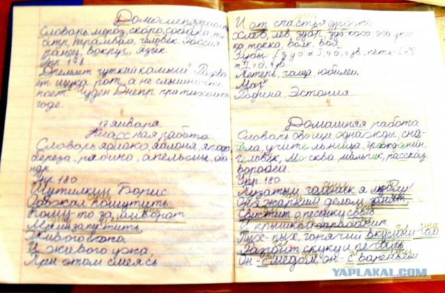 Барсук. Изложение.