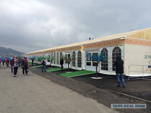 Два дня на Олимпиаде