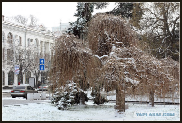 Крым на фотографиях разных лет. Очень разных
