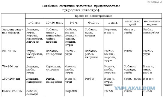 Америке грозит катастрофа