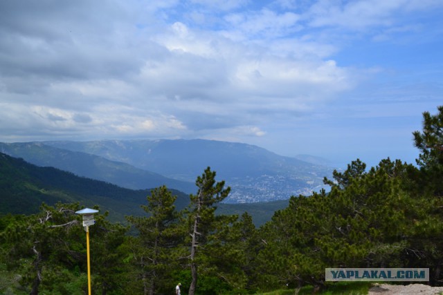 Отдых в Крыму 2014