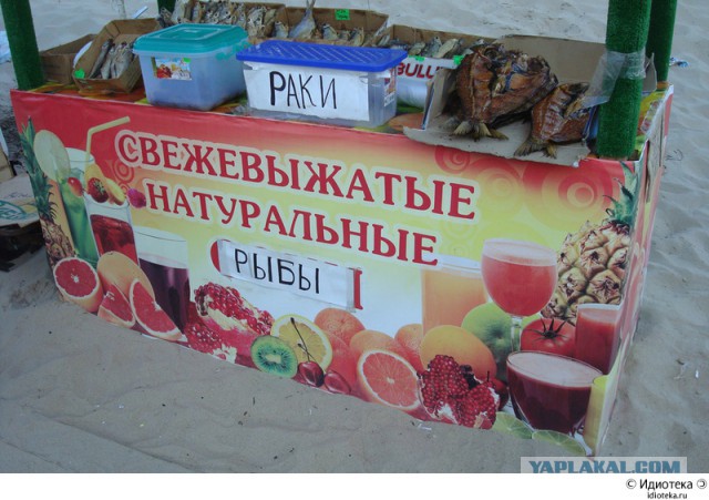 Подборка смешных картинок :)