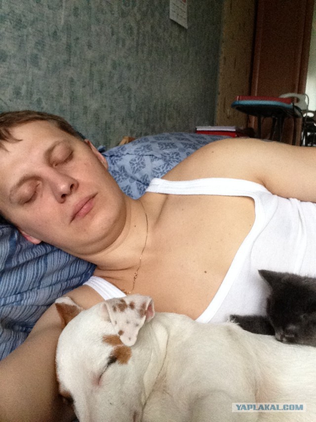 Кот