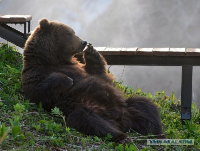 Лучшие фотографии National Geographic