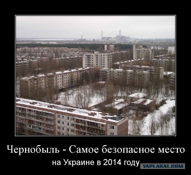Оживающий Чернобыль