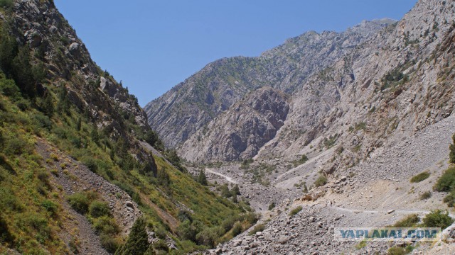 Самая красивая дорога в моей жизни.