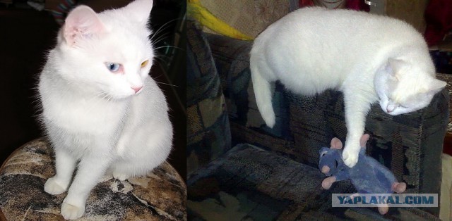 15 мощных фотографий о том, как может измениться