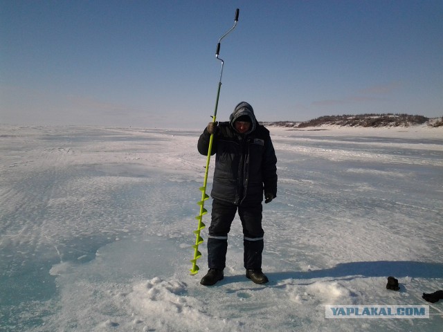 Всю рыбу распугал!
