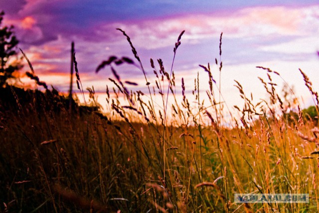 Я узнал, что у меня есть огромная семья
