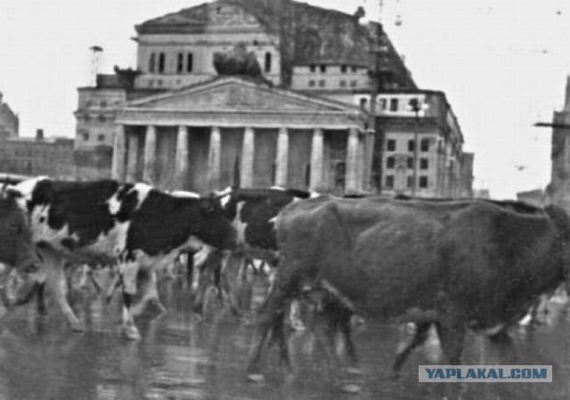 День начала Великой Отечественной войны, 22 июня 1941