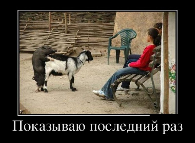 Картинки всякие