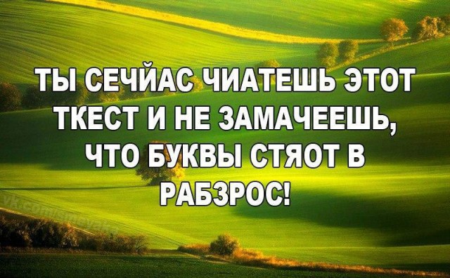 Юмор не для всех