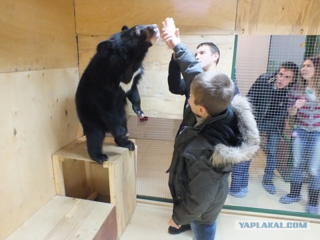 Подборка интересных и веселых картинок