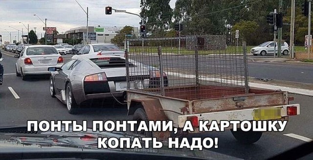 Порция картинок