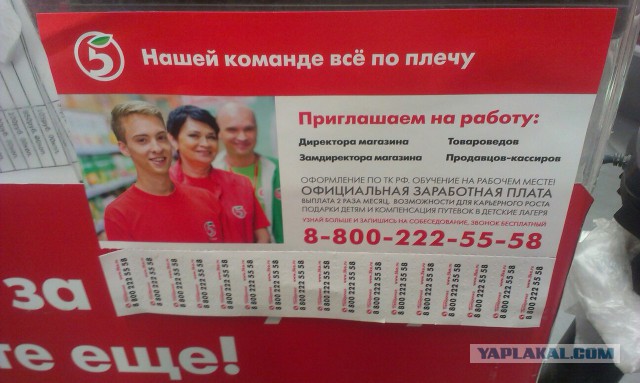 Конкурс "Последнее фото с телефона"