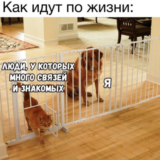 Подборка интересных и веселых картинок