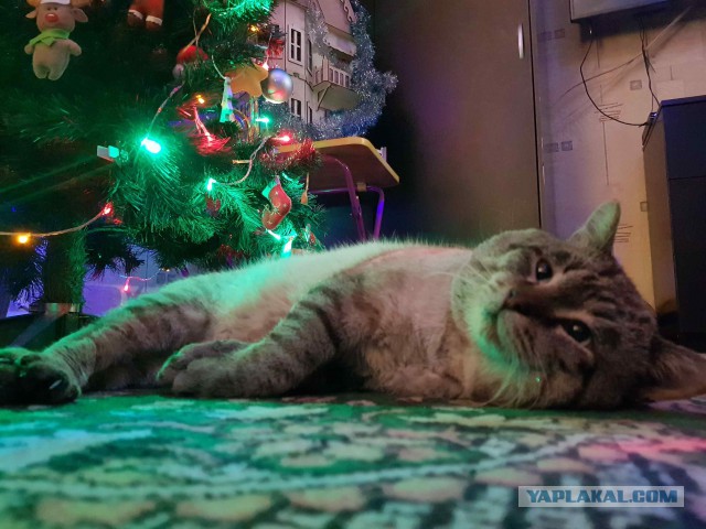 Атмосфера праздника :(