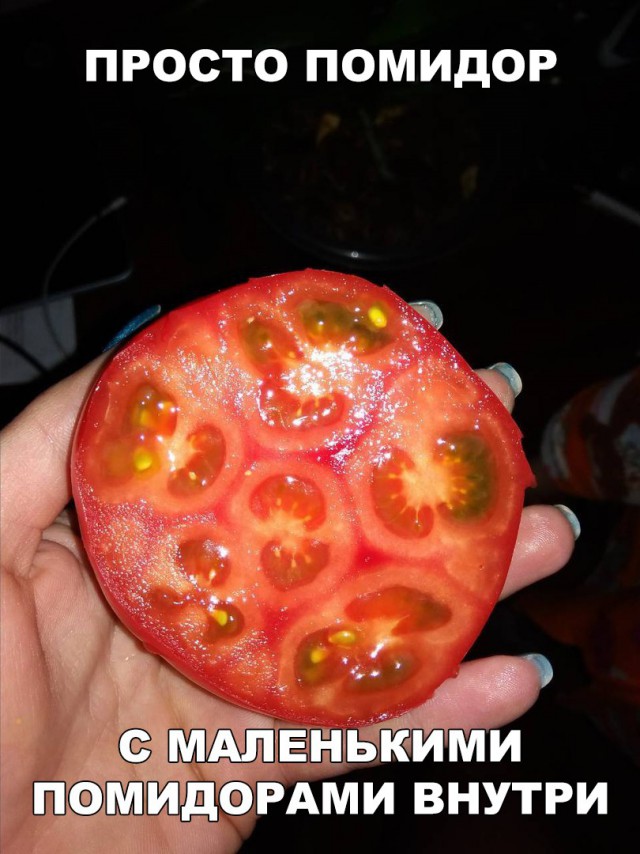 Нестандартный юмор