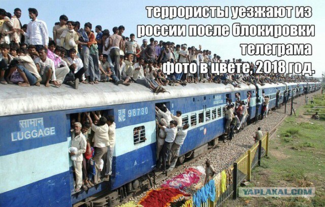 Павел Дуров поблагодарил за поддержку и преданность