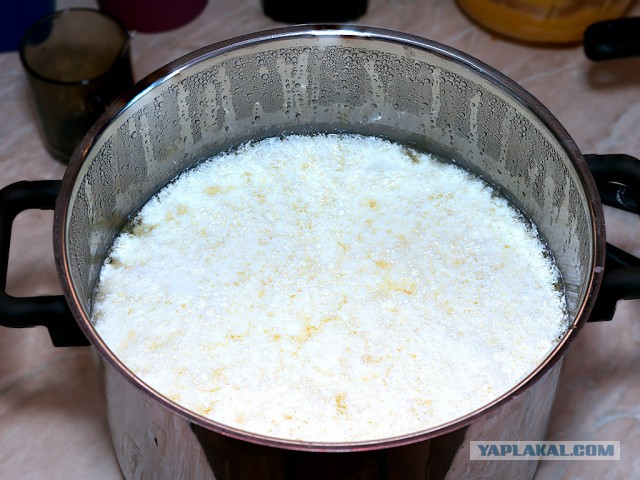 Кулинары поздравляют ЯП с днём рождения!