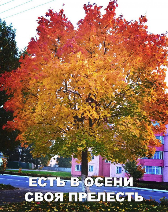 Прикольные картинки абавсём