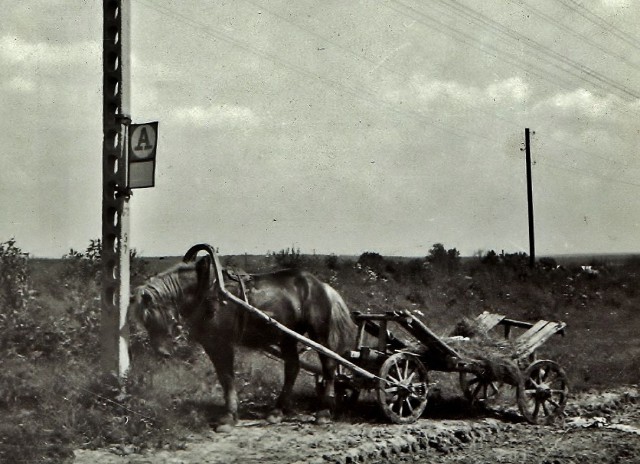 История в фотографиях
