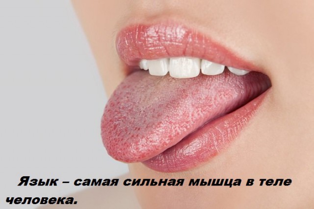 Подборка бесполезных фактов