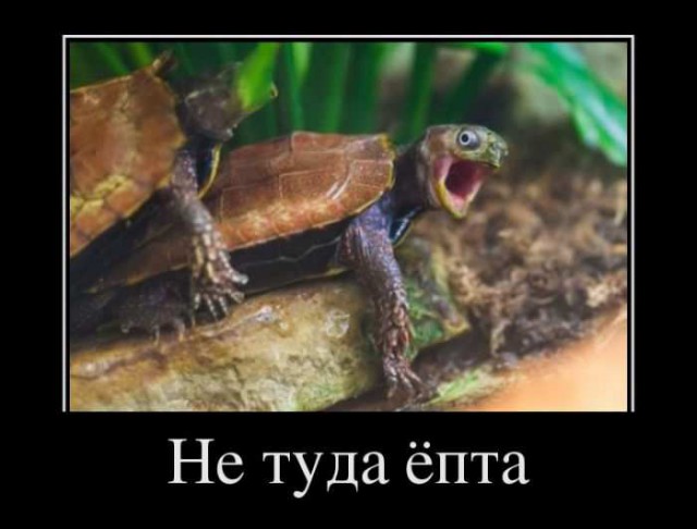 Почему мужчин так волнует прошлое жены?