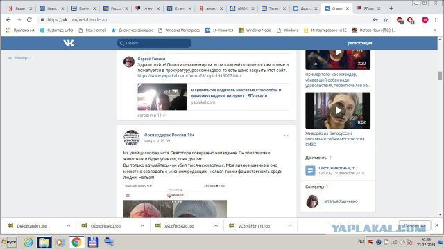 В Цивильске водитель наехал на стаю собак и выложил видео в интернет