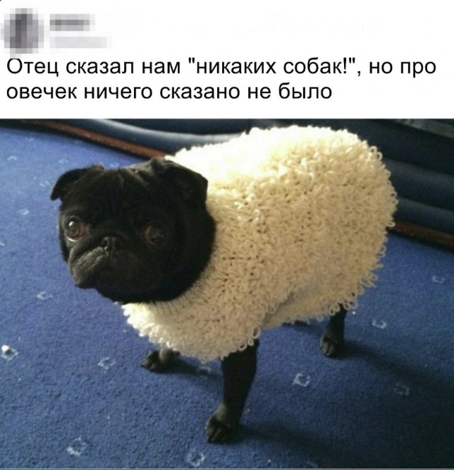 Нестандартный юмор