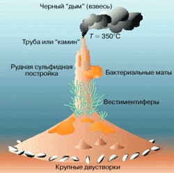 Дно водоема подо льдами Арктики