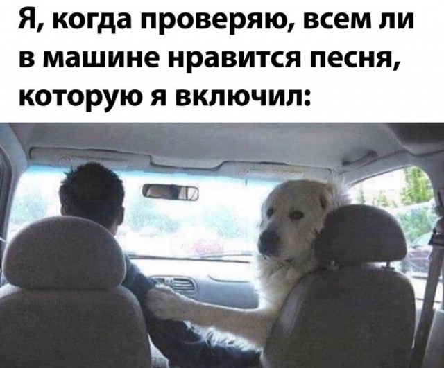 Немного картинок для настроения 116