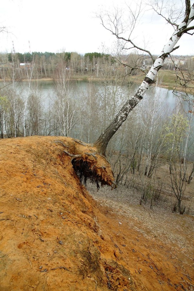 25 занимательных фотографий, в которых столько всего интересного, что вы точно не разочаруетесь
