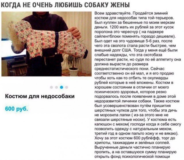 Фотки и картинки: юморные и красивые, забавные и милые 11.11.20