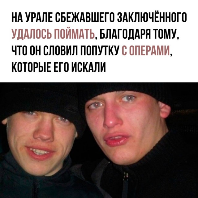 Пазл