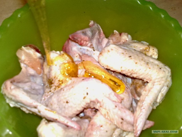 Ноги, хвосты… главное – крылья!, Кура-International–2, куриные крылья